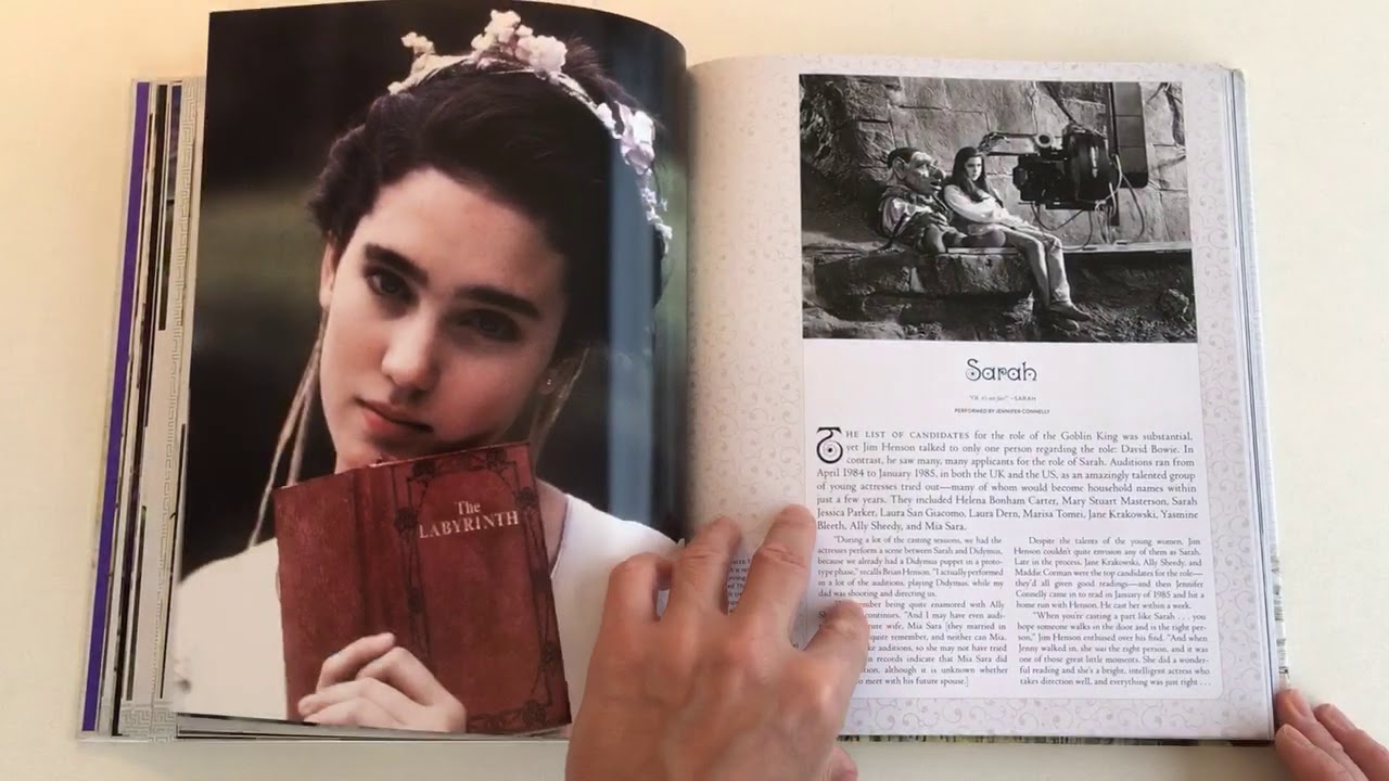Ultímate visual history Labyrinth - QuickLook/CoolBook -