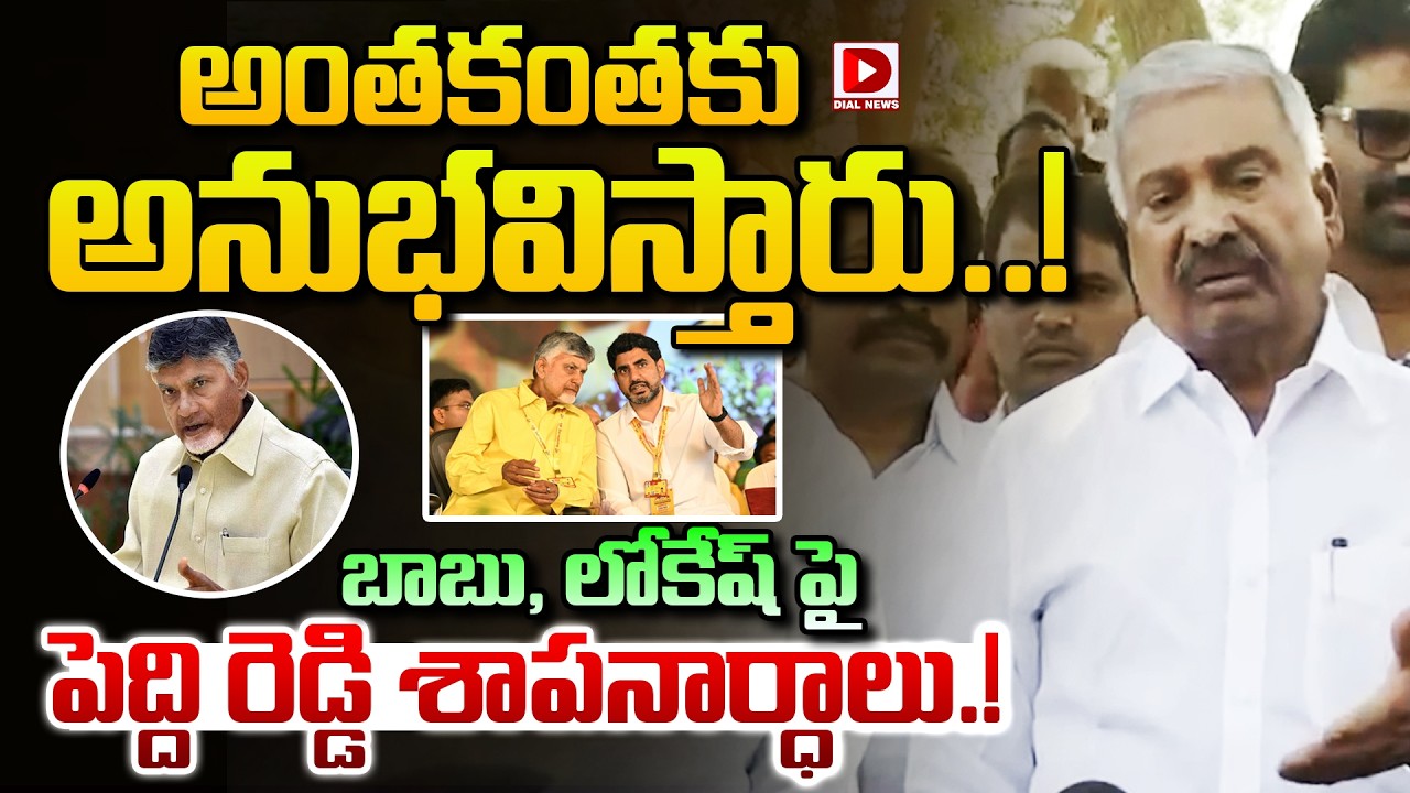 అంతకంతకు అనుభవిస్తారు..! || Peddireddy Ramachandra Reddy Fire On Nara Chandrababu & Nara Lokesh