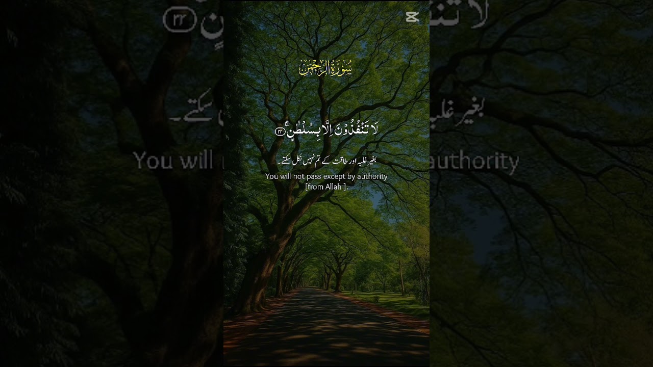 #news #quran #jhope #song #video #ekattortv #edit #valorant #krishna