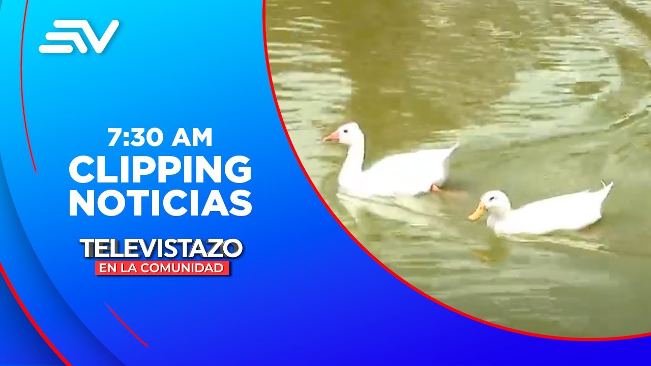 El parque Equinoccial tiene, patos, tortugas y garzas para los visitantes | Televistazo | Ecuavisa