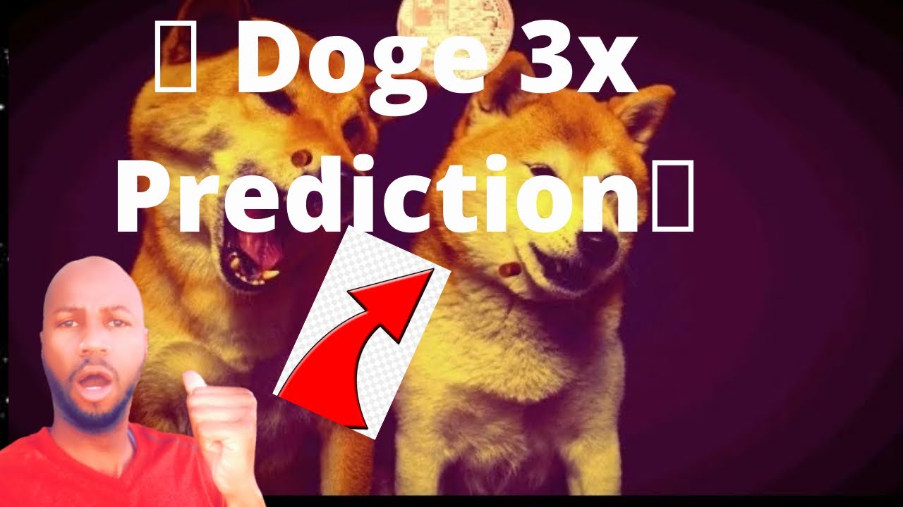 Oh my Dogecoin...What to Do?