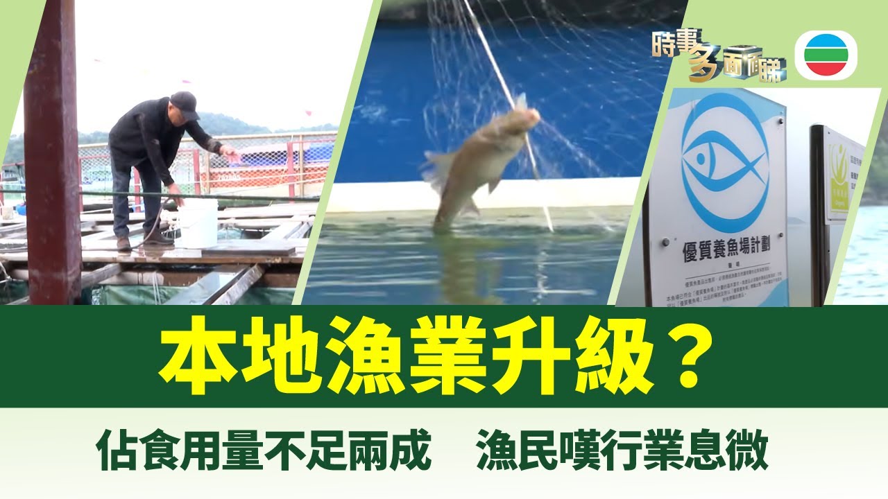 時事多面睇｜漁業升級？本地海鮮佔食用量不足兩成｜2026年1月30日｜TVB News