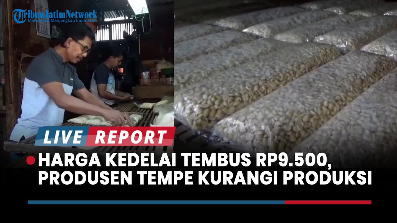 Harga Kedelai Tembus Rp9.500, Produsen Tempe di Jember Kurangi Produksi