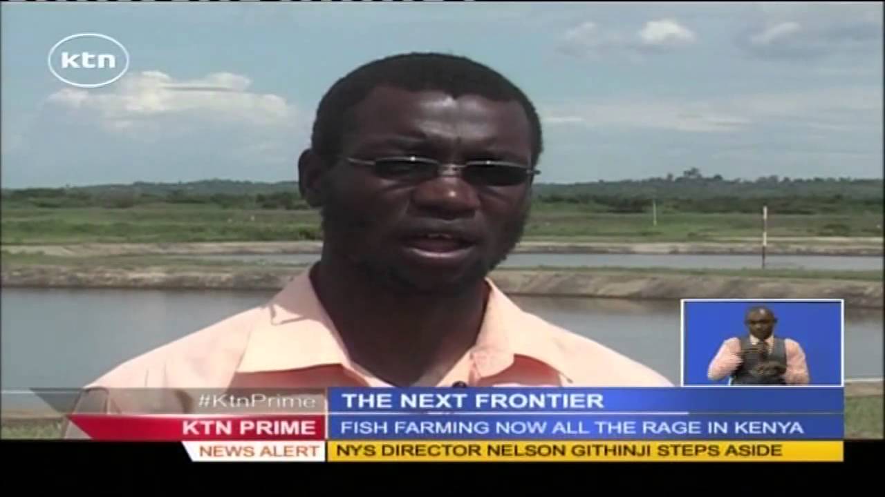 THE NEXT FRONTIER 16th November 2015 Siaya based Dominion reclaims swamp for fish farming