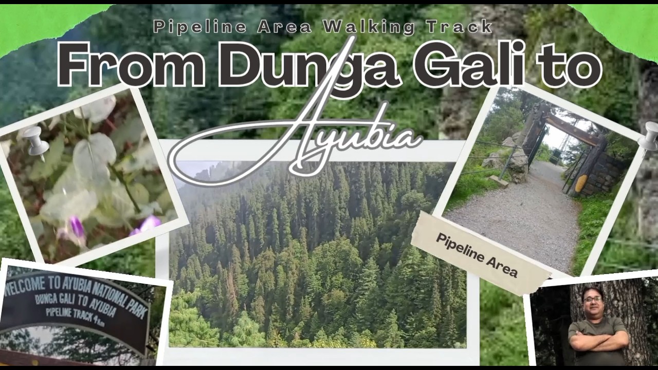 Pipeline Track Dunga Gali to Ayubia 🇵🇰 | Most Beautiful Walk in Pakistan | Full Travel Vlog