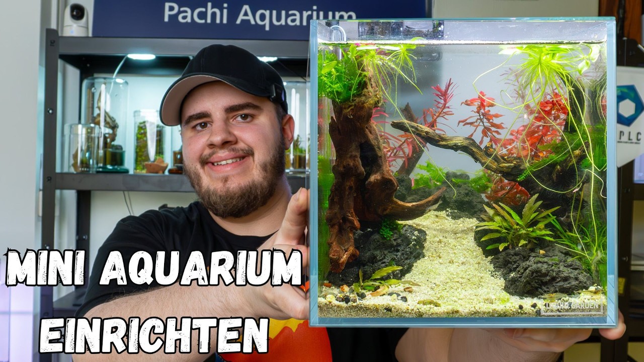 8L Nano Cube einrichten ohne CO2 (Aquascaping Tutorial)