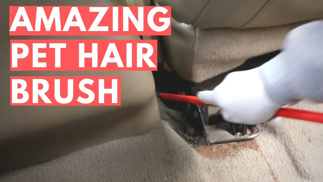 Amazing pet hair removal brush for hard to reach areas in your car!