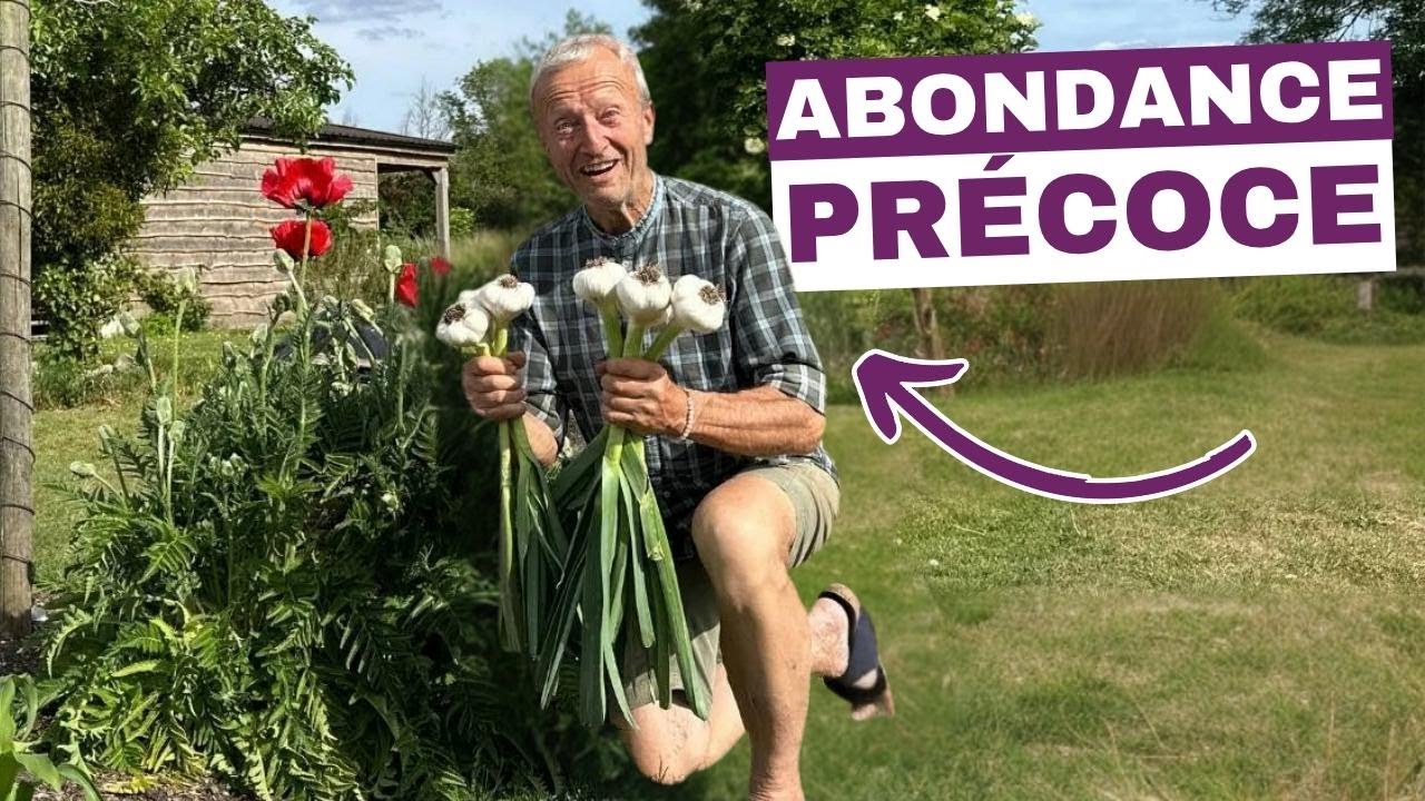 Profitez d'un printemps doux : récoltez et ressèmez sans creuser pour des cultures rapides