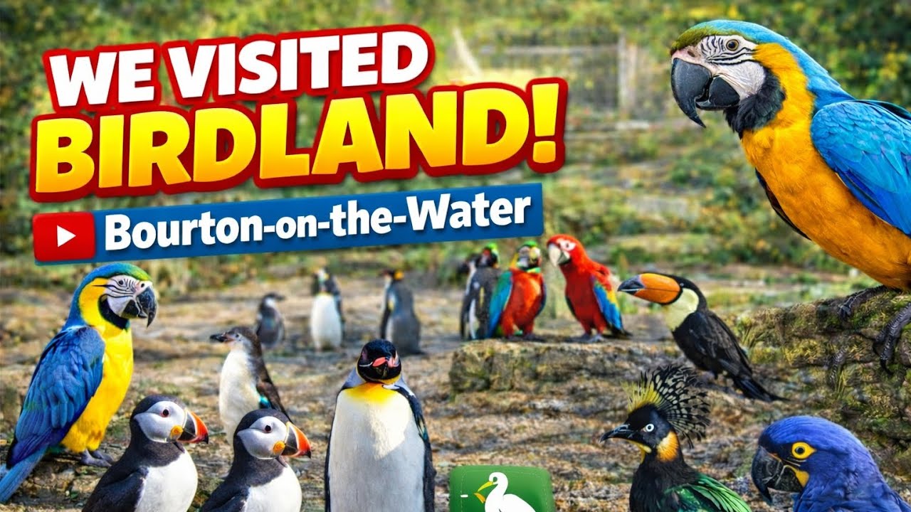 Birdland Bourton-on-the-Water 