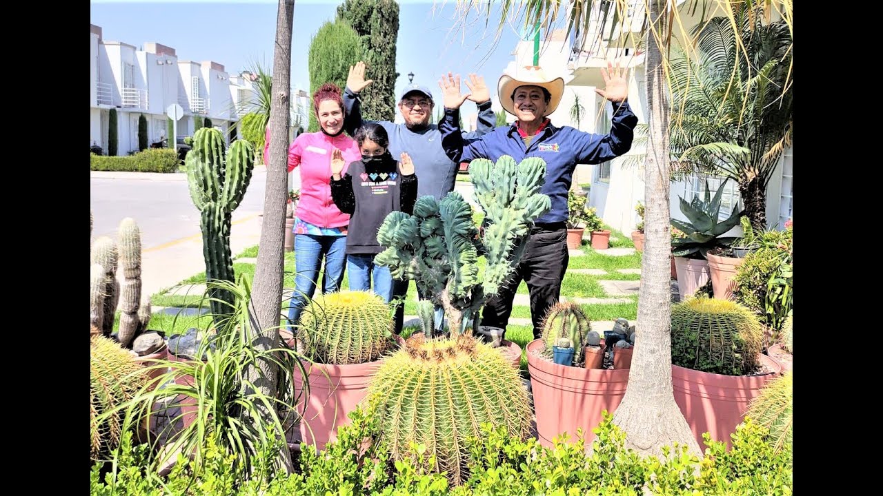 Son mis Cactus ¿ cultivados ó saqueados ?