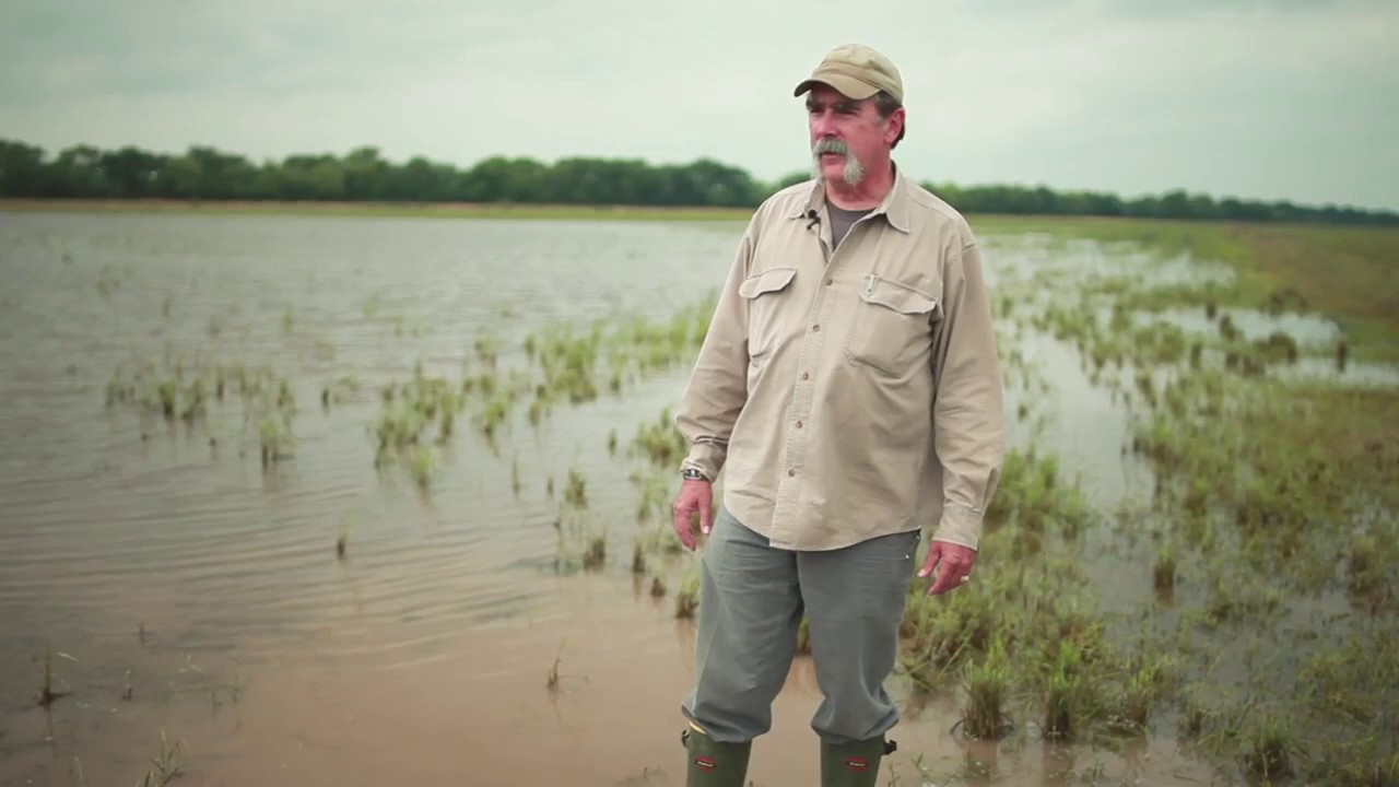 The Prairie and Flooding