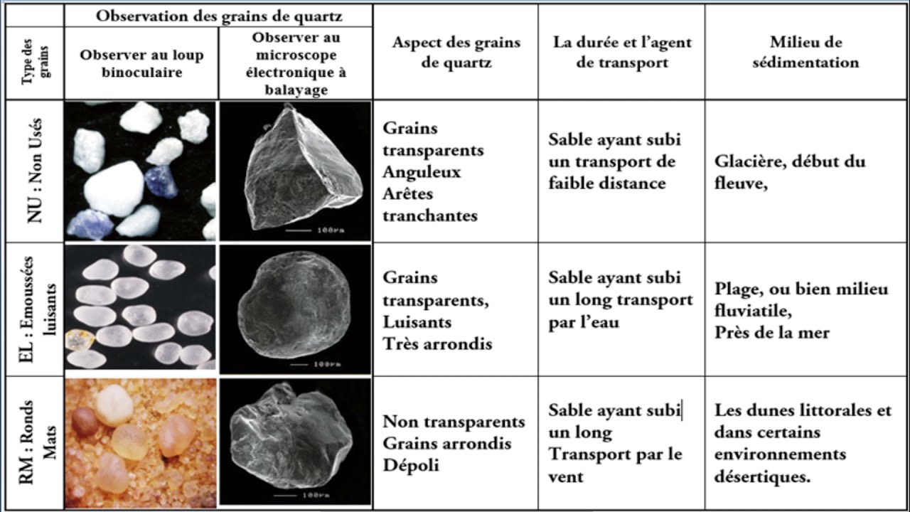 Étude morphoscopique des grains de quartz d'un sable (شرح بالعربية)