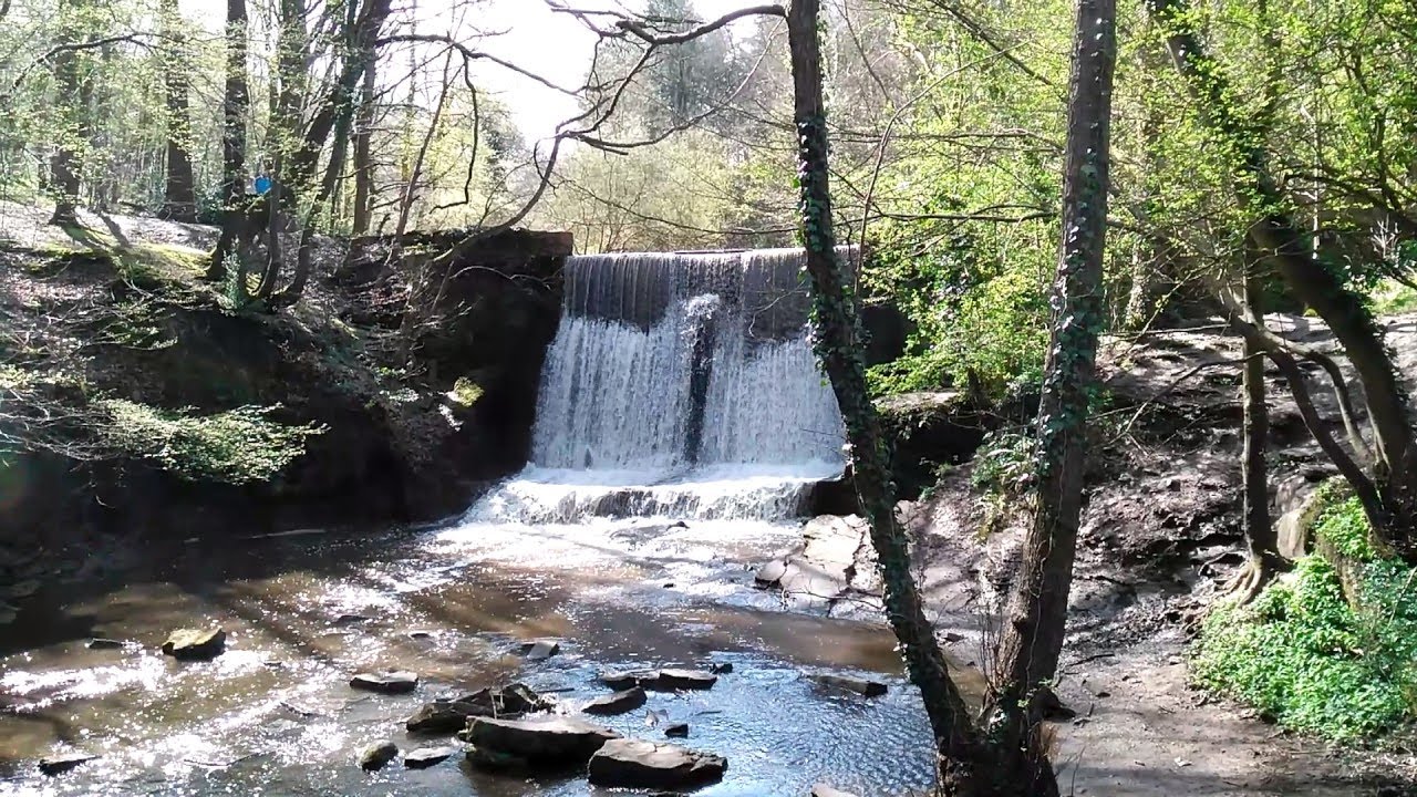 Wepre park Connah's Quay