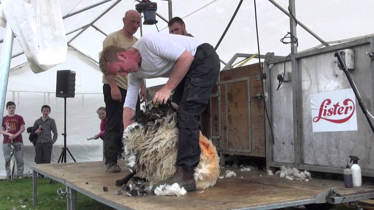 North Sligo Agricultural Show 2015