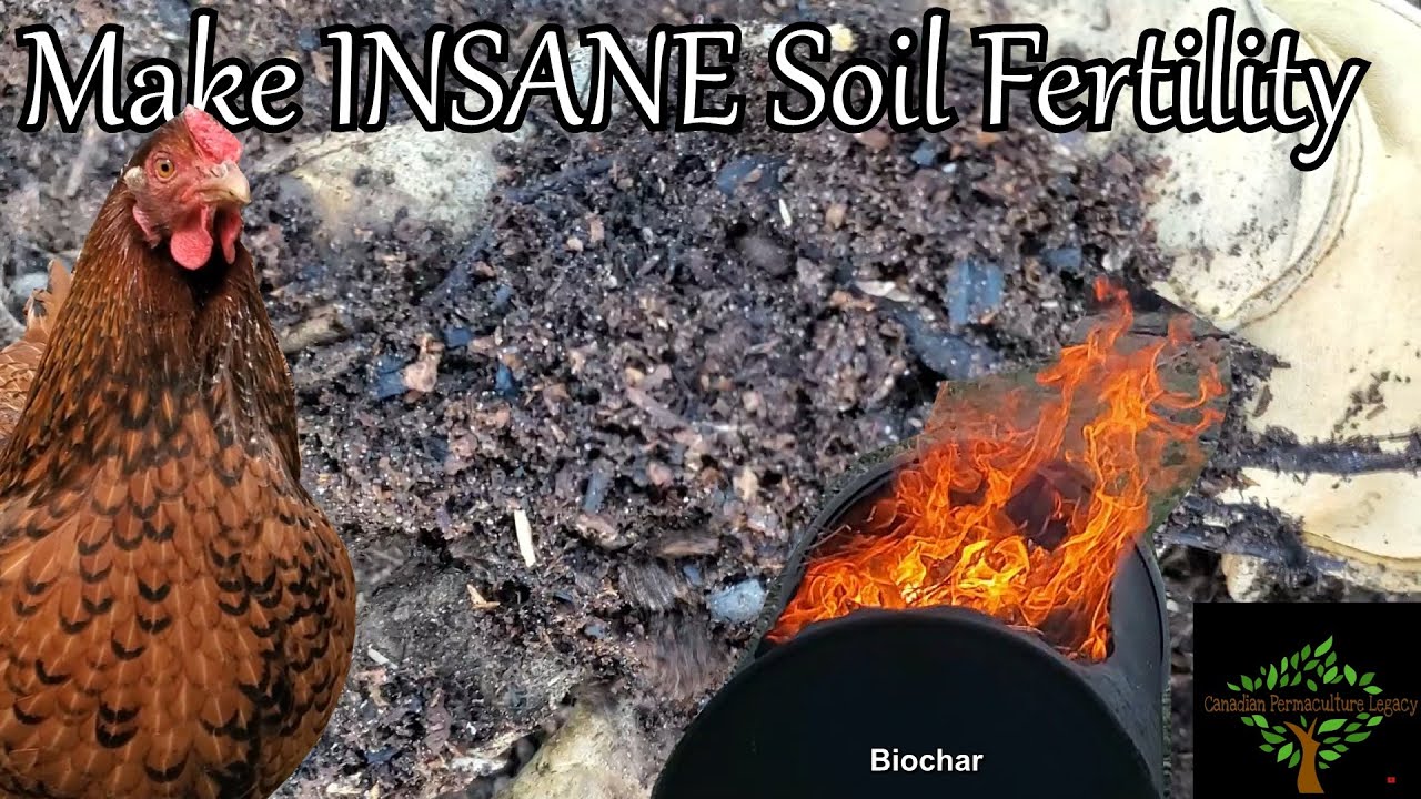 Make INSANE soil fertility with chickens and biochar