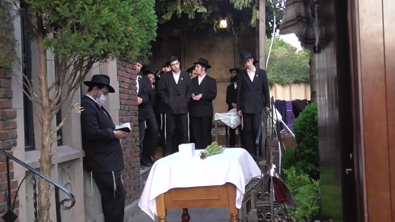 הגשת לולב-כ' תשרי ה'תשפ"א