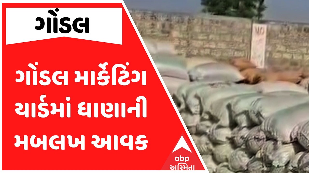 Gondal Marketing Yard | ગોંડલ માર્કેટિંગ યાર્ડમાં ધાણાની મબલખ આવક, કેટલા બોલાયા ભાવ? | ABP Asmita