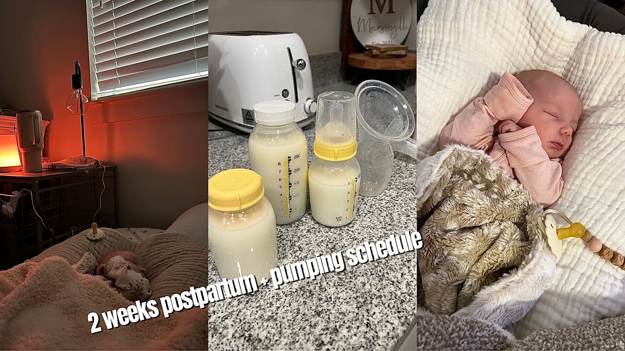 2 недели после родов | график сцеживания + рутина 🍼 | PPA
