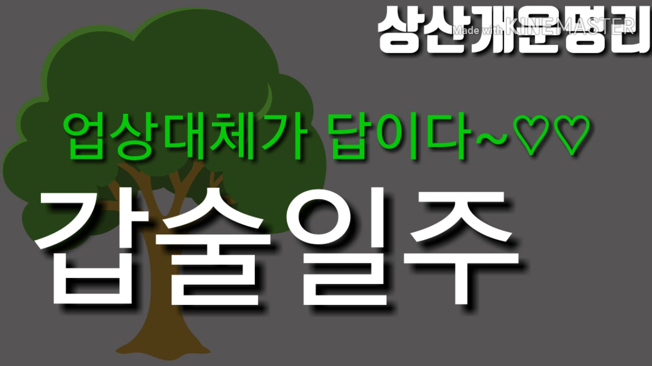 갑술일주..업상대체가 답이다.