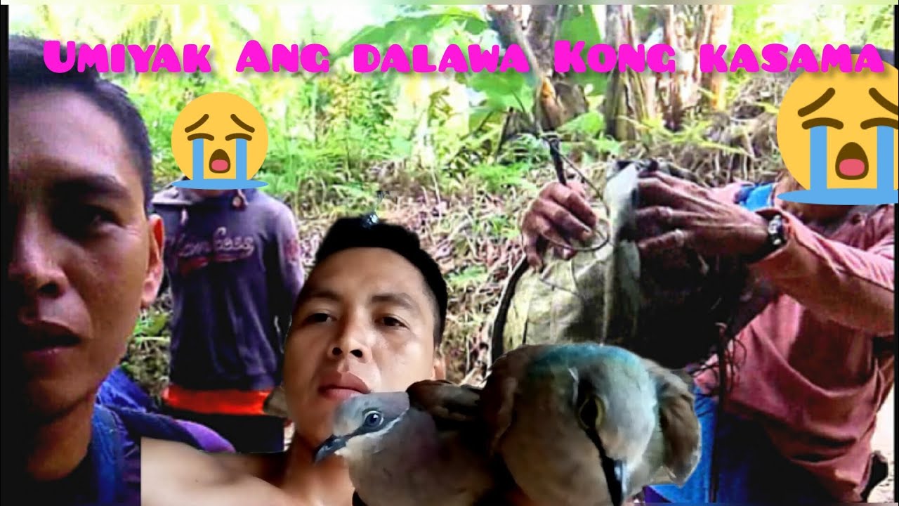 bakbakan na! 2 katian vs baby koh#alimukonhunting