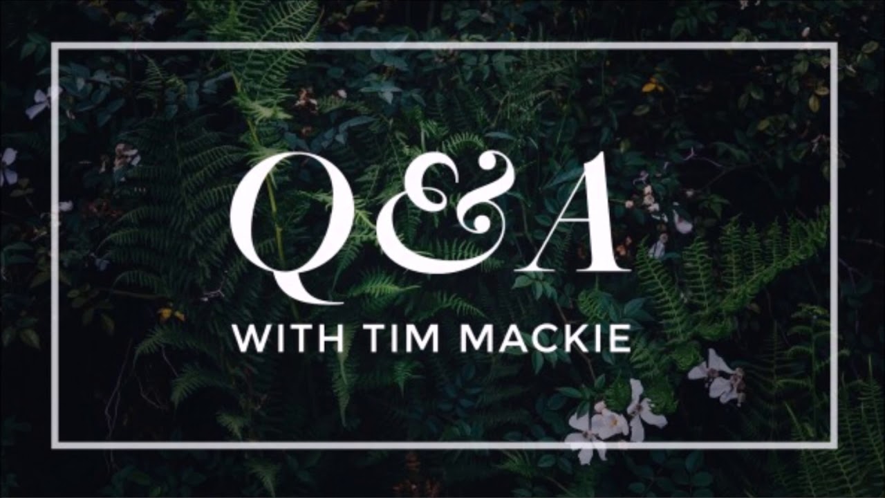 Genesis: Beginning The Right Story [Q&A] Tim Mackie (The Bible Project)