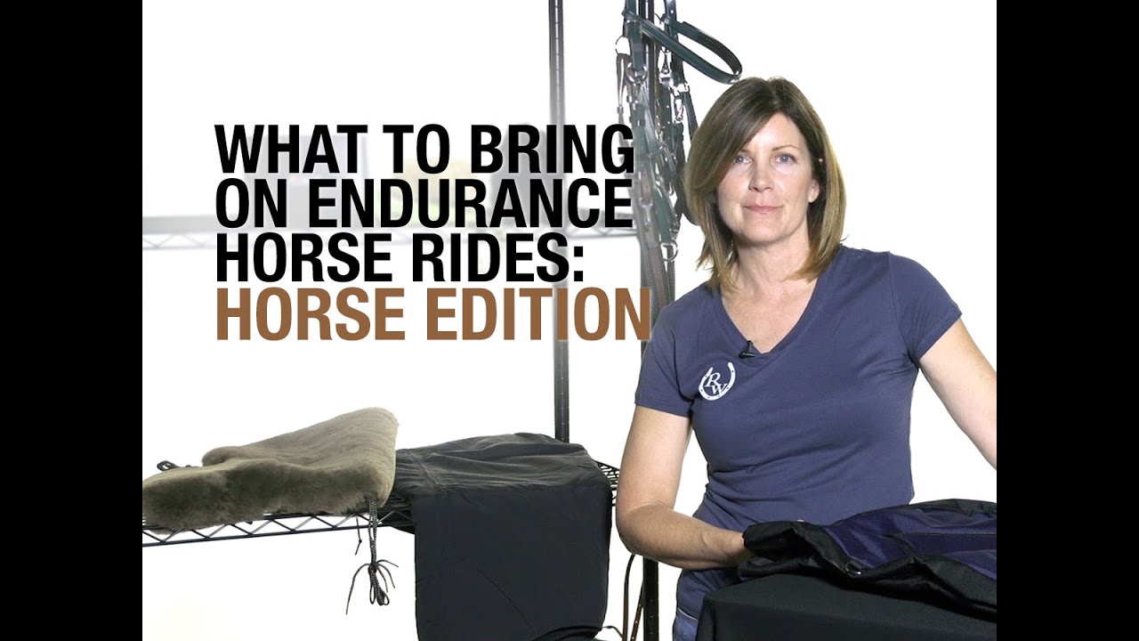 What To Bring on Endurance Rides: Horse Edition