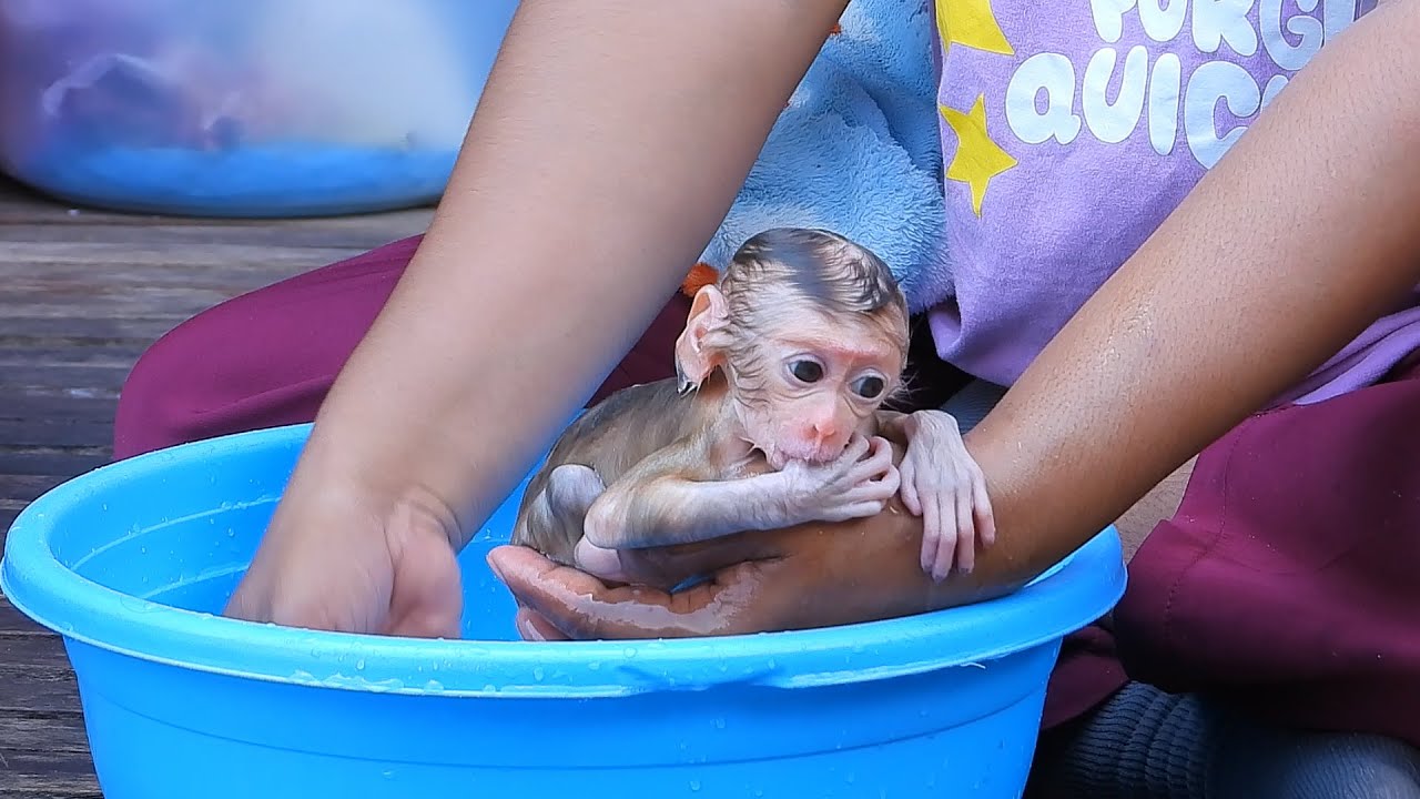 Cute Tiny Valen's Soothing Bath Time