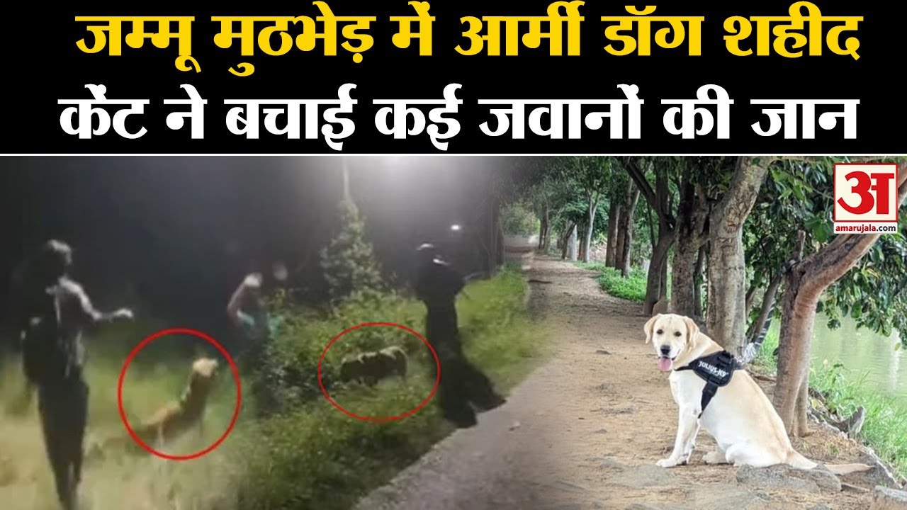 जम्मू में आतंकवादियों और सेना के बीच मुठभेड़ में एक जवान समेत फौजी डॉग केंट शहीद हुए।