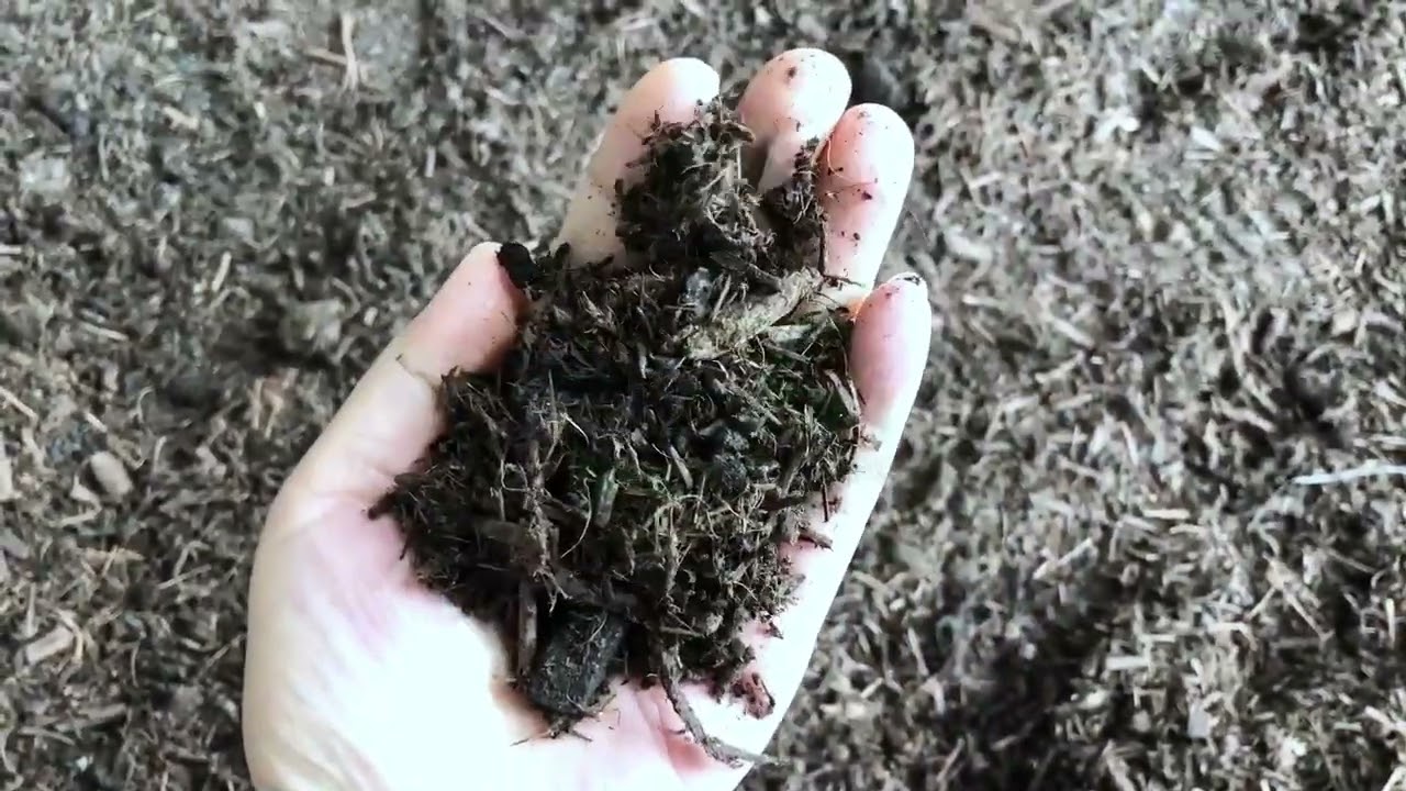 Organic Fertilizer Pellet Machine