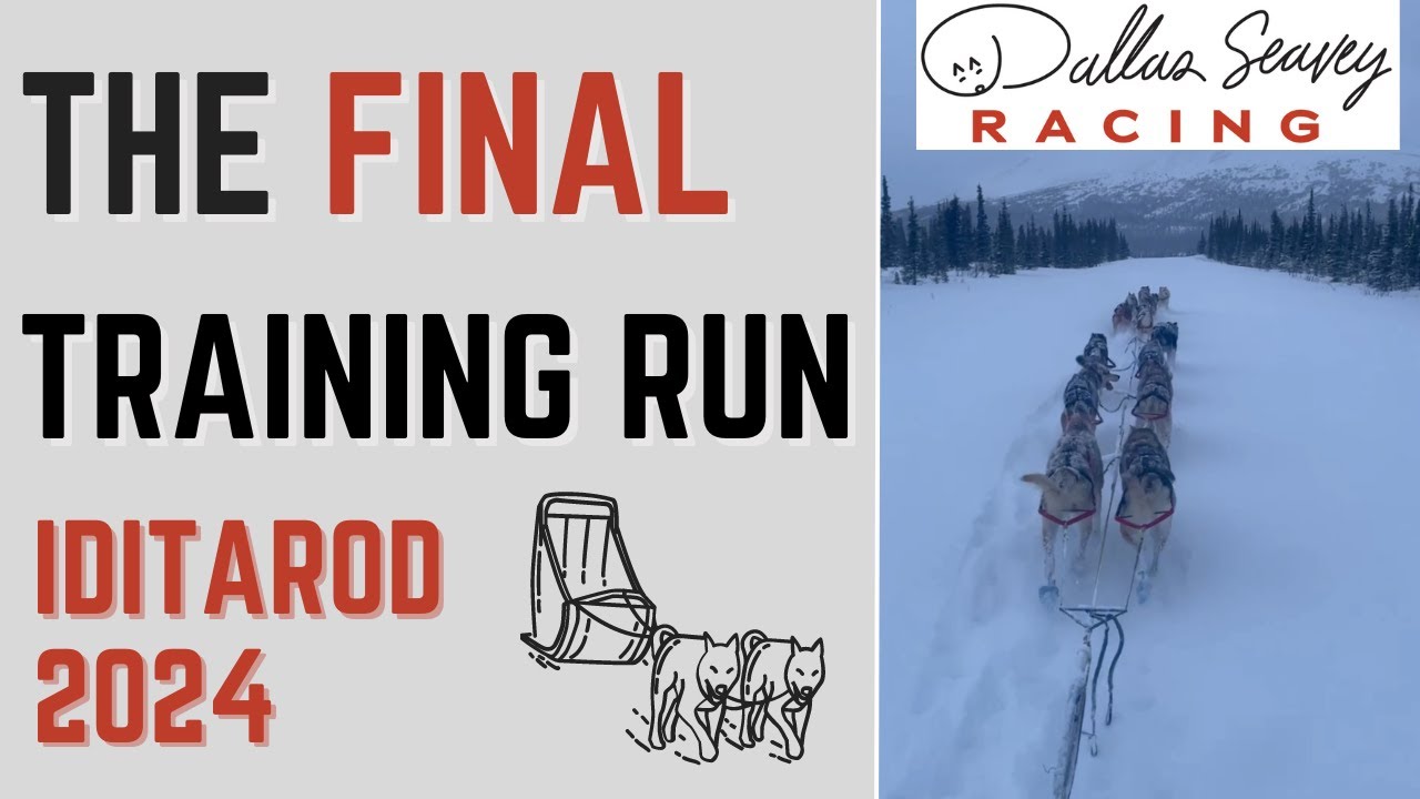 My Journey: Dallas Seavey's Quest for a Historic 6th Iditarod Win