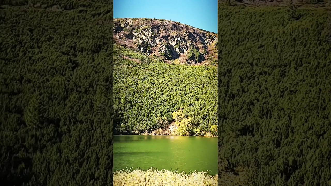 Lacul care are forma Rom&acirc;niei | Lacul Iezer din Munții Șureanu #nature #mountains