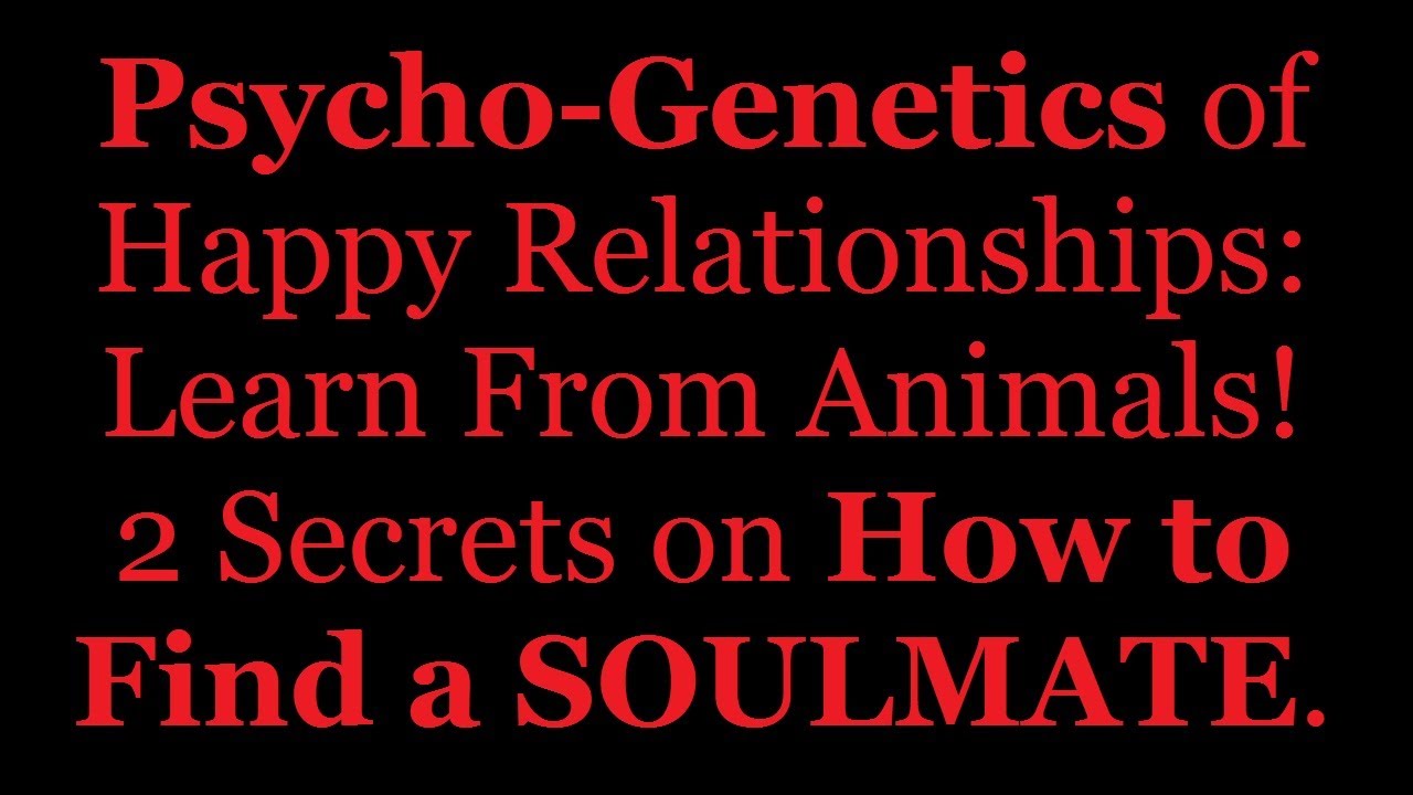 2 Secrets of Happy Relationship: Learn From Animals!