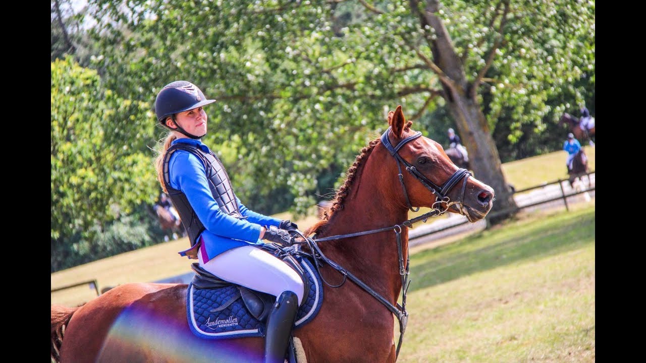 D4 Horseshow 2019 - vlog