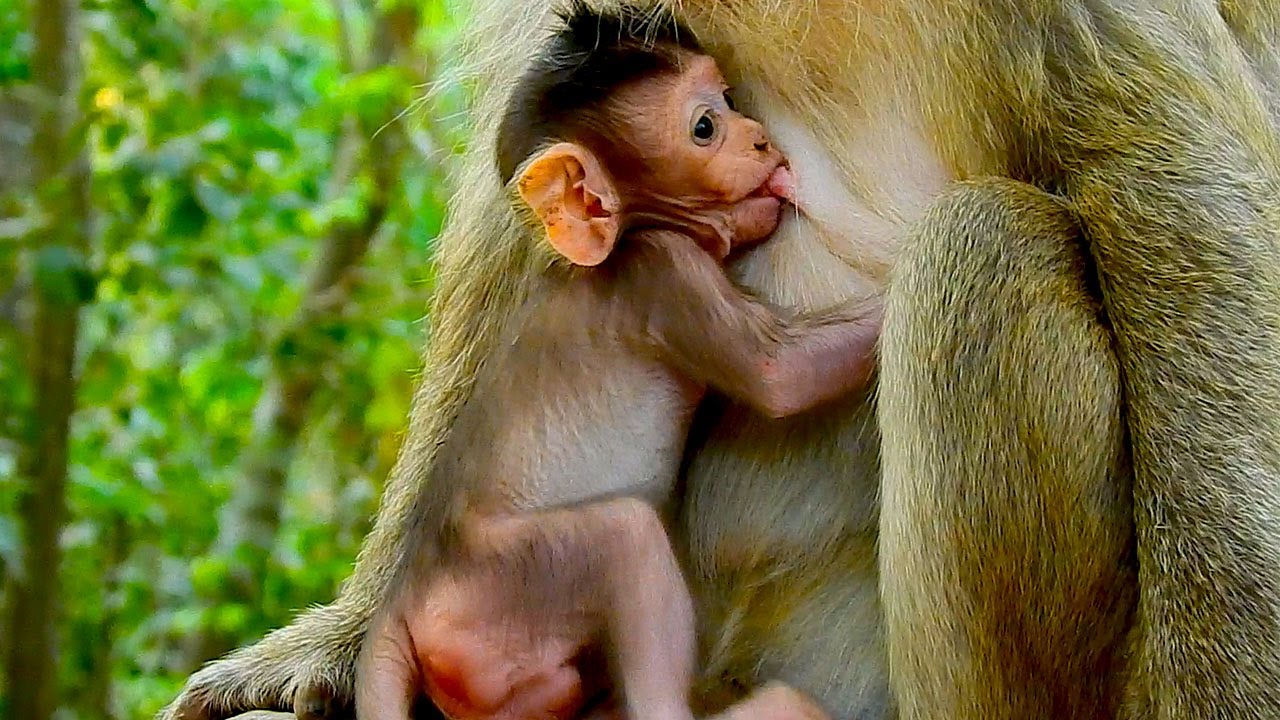 Good take care baby ! Mum Brianna is the best mum that full skill how to care baby well.