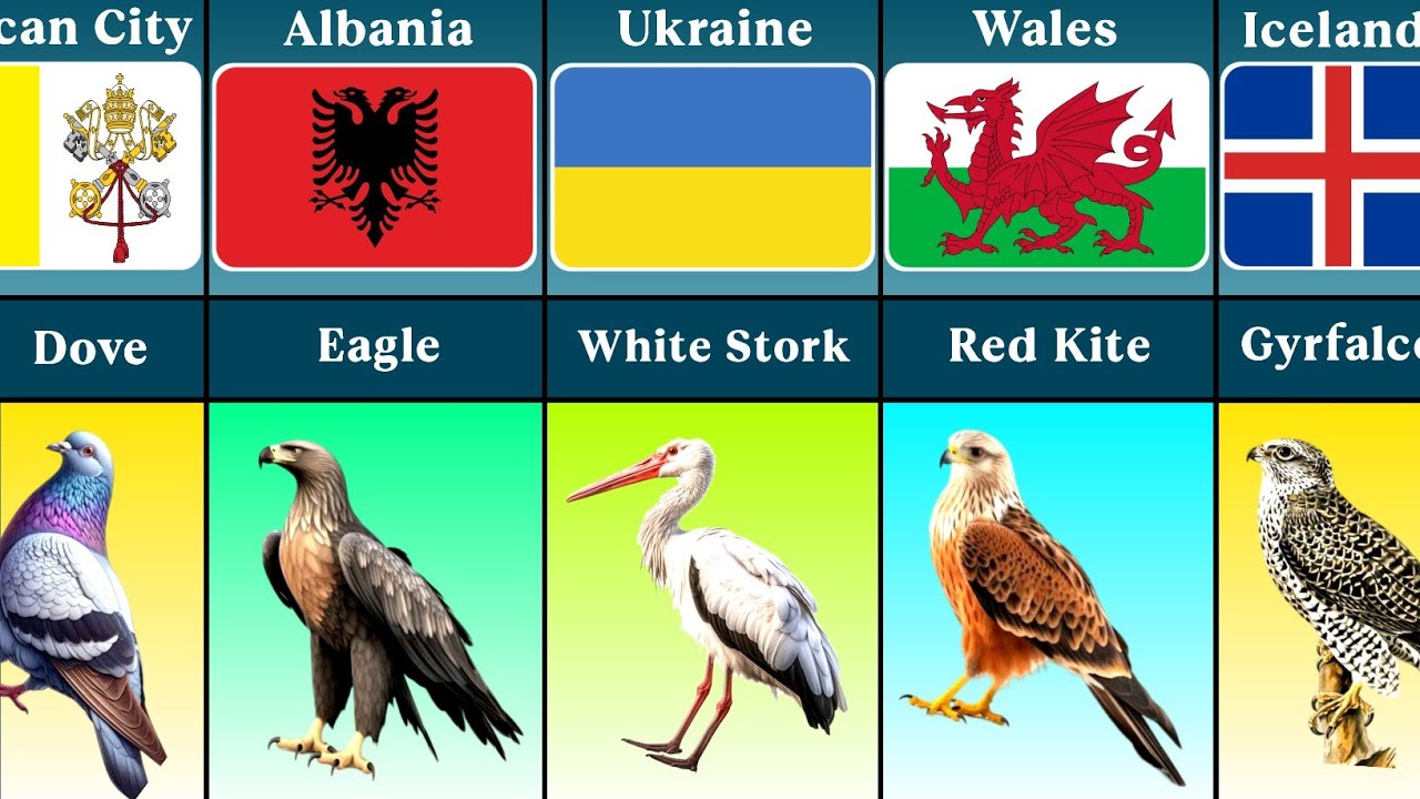 National Bird of Every Country