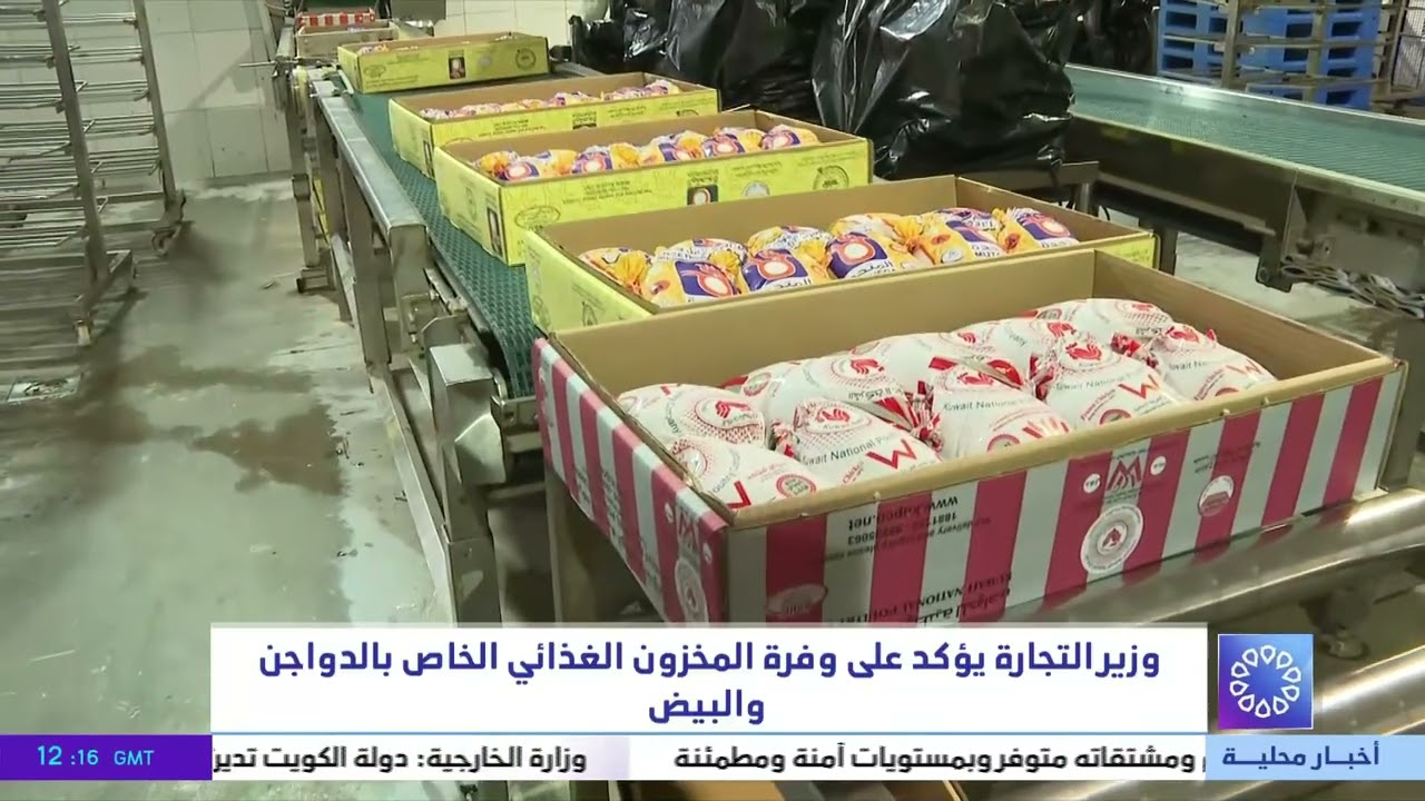 وزير التجارة يؤكد على وفرة المخزون الغذائي الخاص بالدواجن والبيض