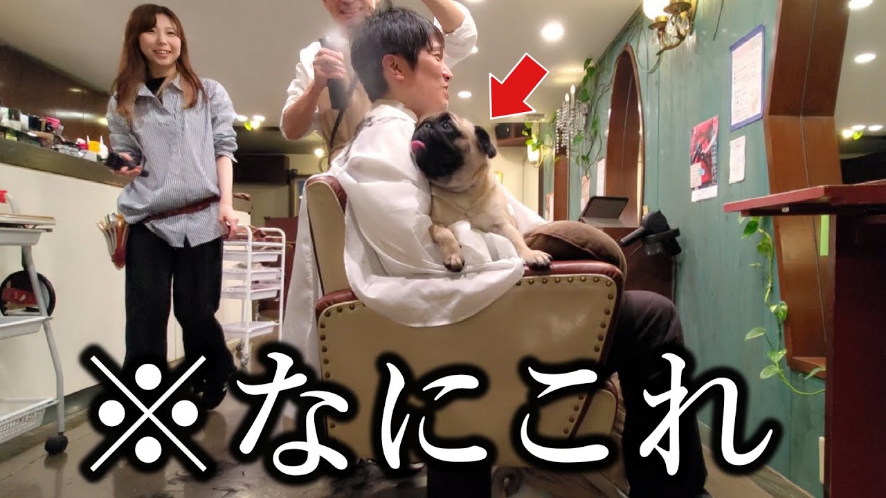 【札幌】犬を飼って結婚願望を失った30代男が美容室に行ったらこうなりました