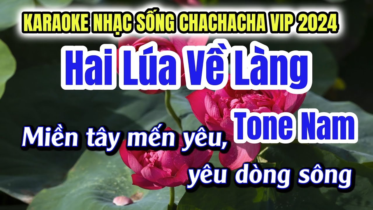 Karaoke Hai Lúa Về Làng Tone Nam Nhạc Sống Điệu CHACHACHA CỰC VIP Mới 2024 | Phát Organ
