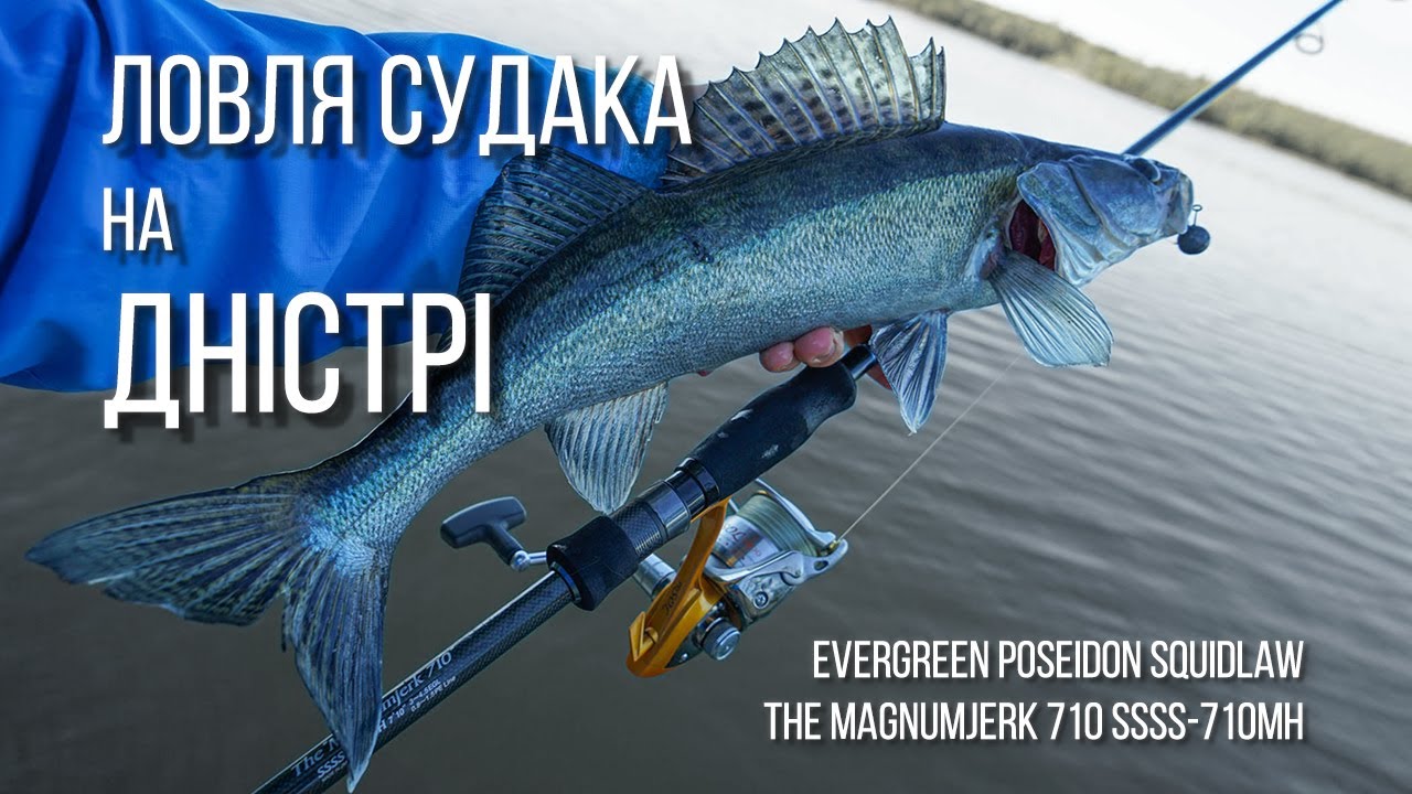 Ловля судака на Дністрі. Evergreen Poseidon Squidlaw Second Stage The Magnumjerk 710 SSSS