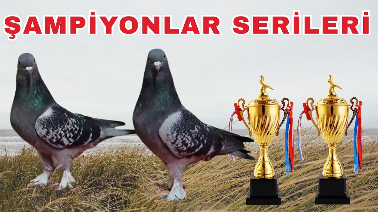 Gölbaşı A.ş Öz Kendi Beslediğimiz Uçurduğu Kuşlar Sizlerle