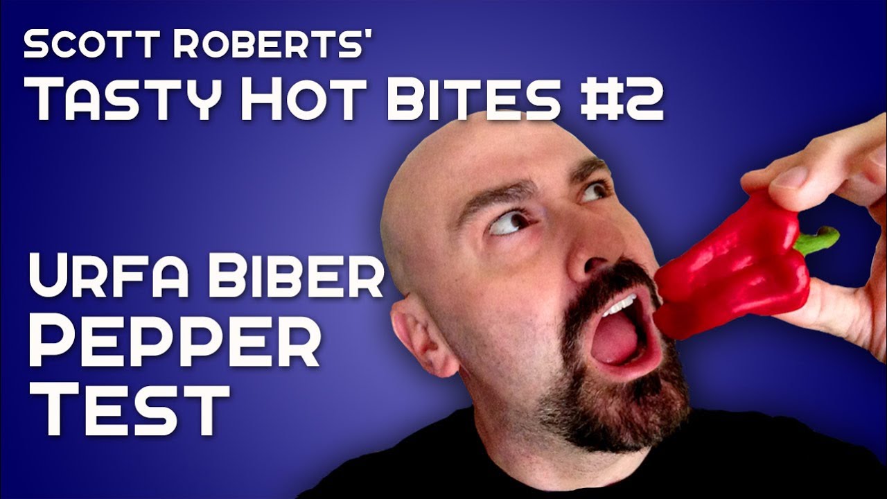 Urfa Biber Chile Pepper Test - Tasty Hot Bites #2