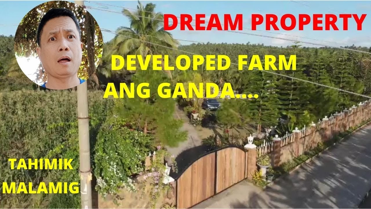 DEVELOPED FARM IN LEMERY BATANGAS  FOR SALE PART 2