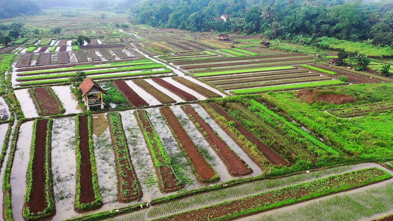 Drone view of green fields 2-Beauty of Nature