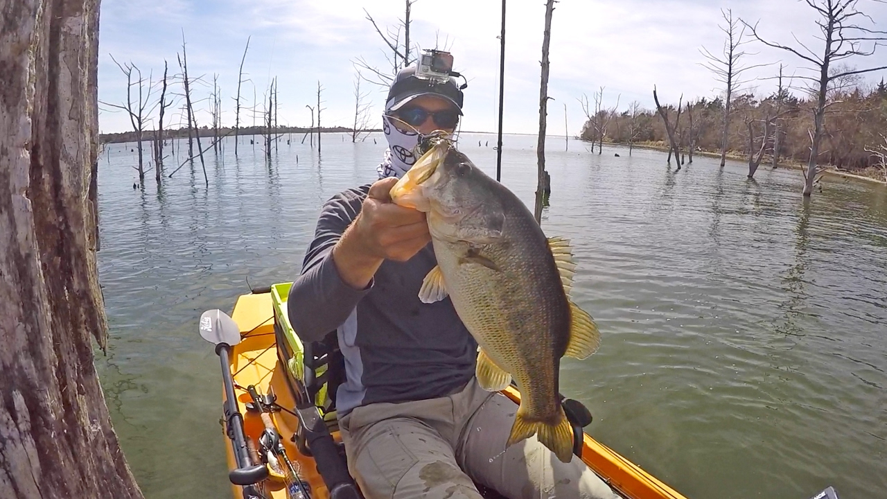 Fishing Jigs on Stumps for Pre Spawn Bass