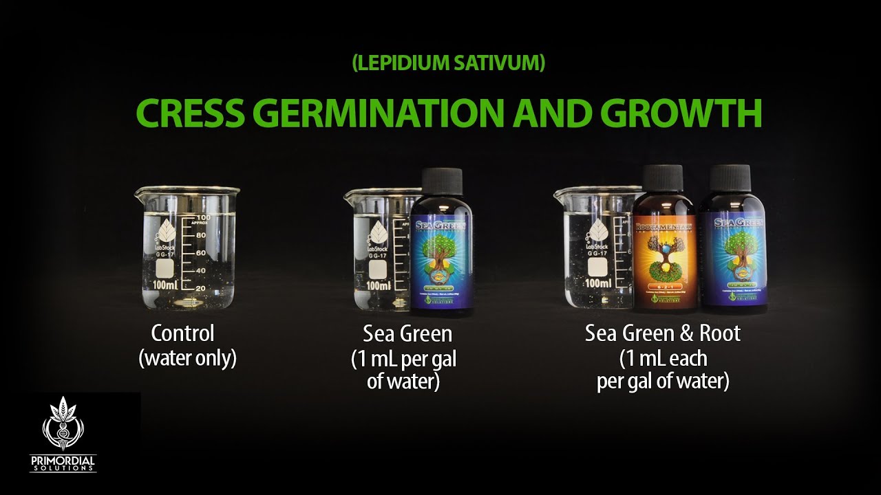 Primordial Solutions germination time lapse using Sea Green and Rootamentary