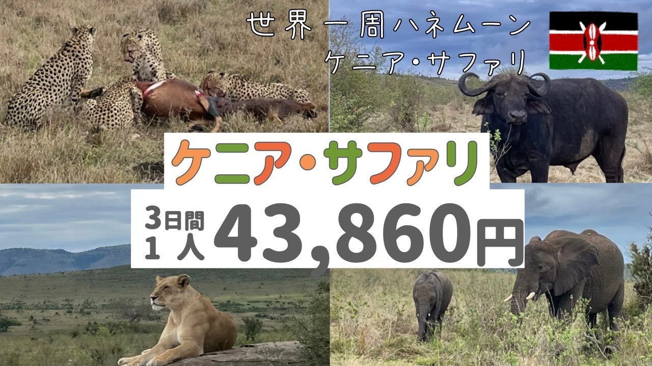 #19【夫婦で世界一周】アフリカケニア編🇰🇪夢の世界一のサファリへ！ケニア・マサイマラ国立保護区