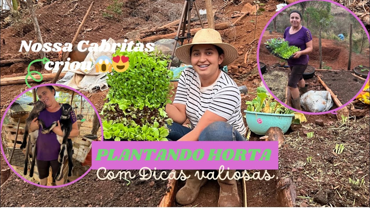 COMO PLANTAR HORTA