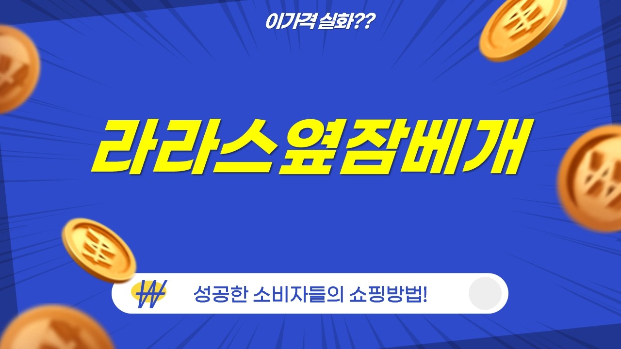 꿀잠템 총집합! 라라스 옆잠 베개부터 역류방지 쿠션, 꿈비 뒤집기 방지까지!
