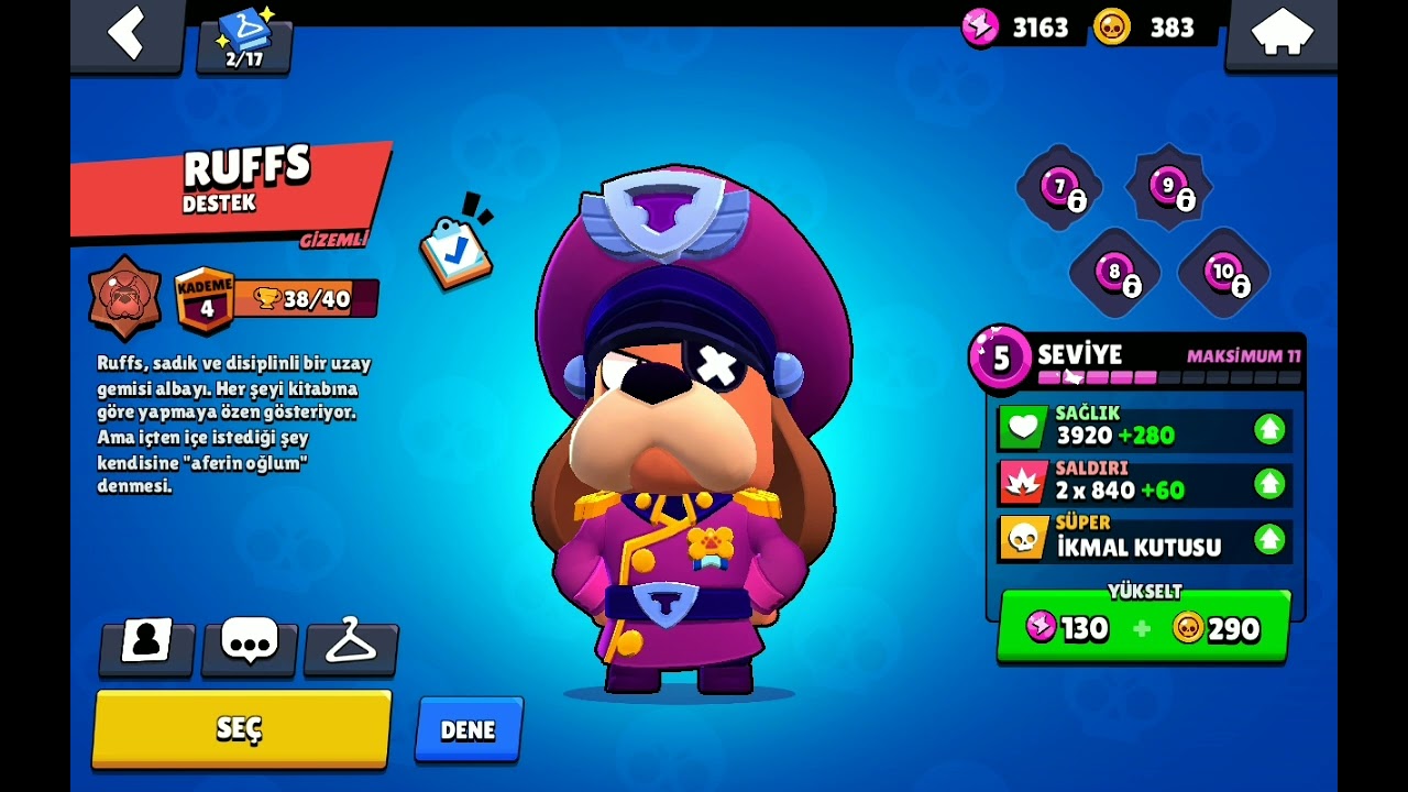 bu ne  bi&ccedil;im şans