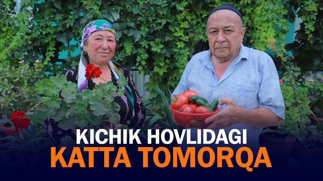 3 sotixda 30 xil hosil — kichik hovlidagi katta tomorqa